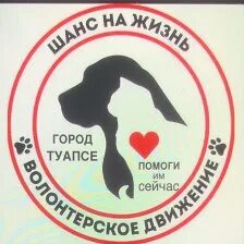 Эмблема помощь бездомным. Брошенный ангел приют спб. Шанс на жизнь туапсе. Шанс на жизнь туапсе. Шанс на жизнь туапсе.