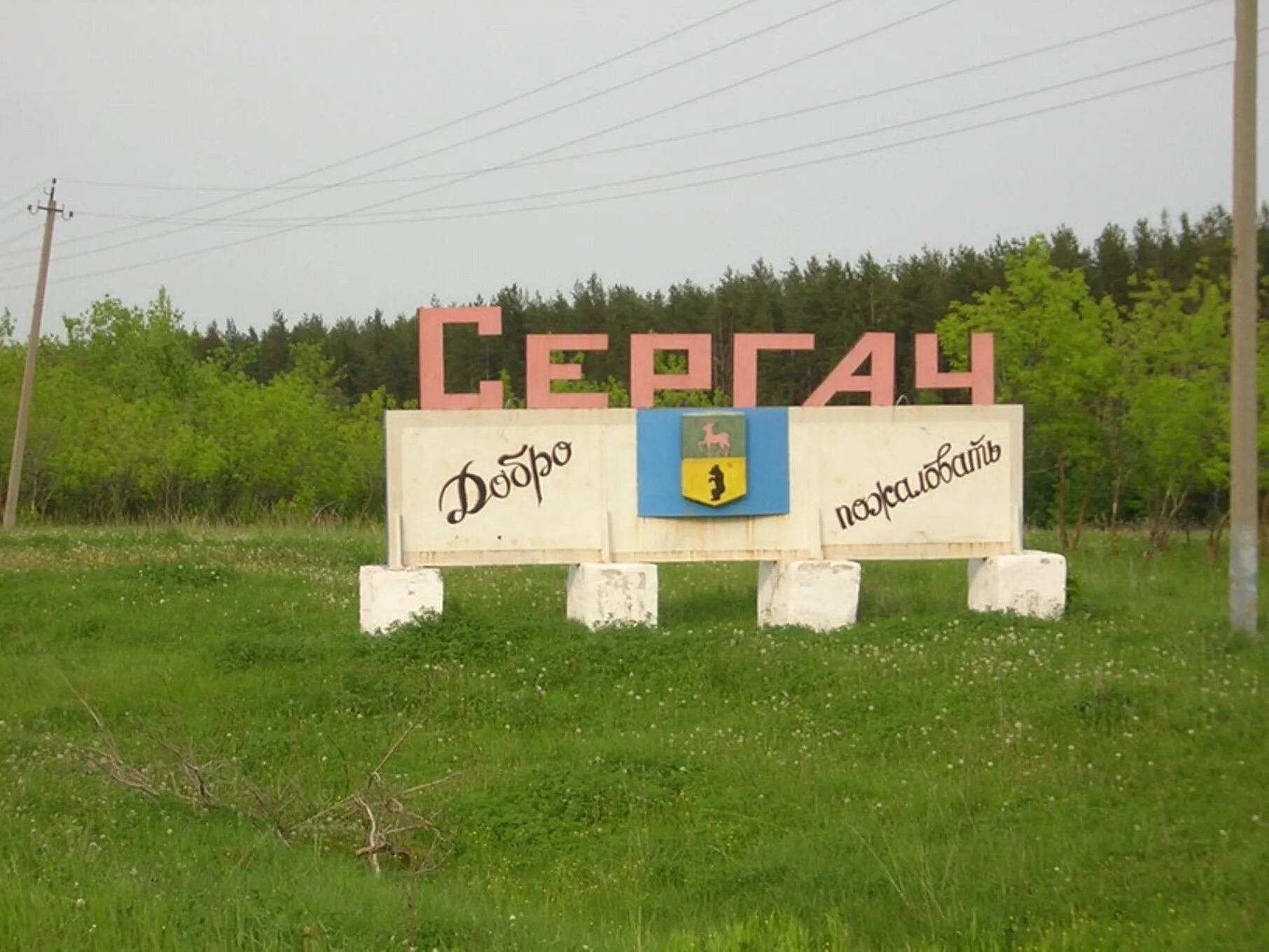 библиотеки сергачского муниципального района. работа г сергаче. сергачский агропромышленный техникум. кристалл сергач тц. сергач день города.