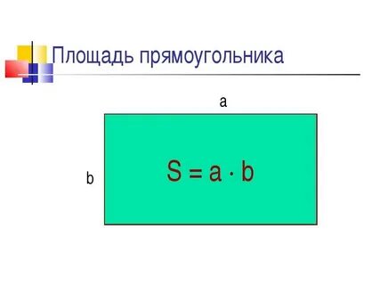Площадь прямоугольника в геометрии