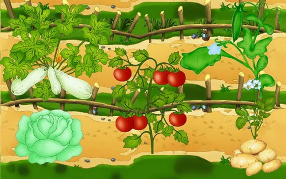 В саду под 4. Овощи на грядках для детского сада. Огород для детей. Грядка с овощами для детей. Огород мультяшный.