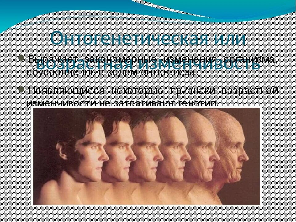 Выраженная изменчивость. Выраженная изменчивость