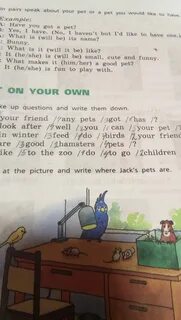 Make up questions