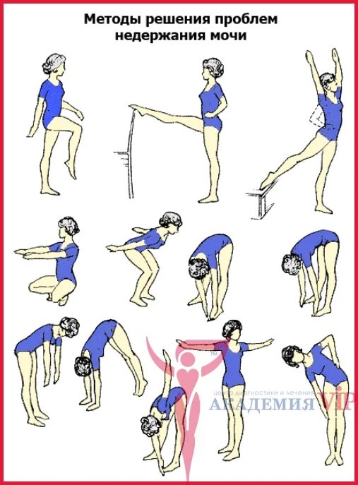 гимнастика при гиперактивном мочевом пузыре. упражнения для укрепления мышц тазового дна у мужчин. упражнения для мышц мочевого пузыря. упражнения для укрепления мышц тазового дна у женщин. упражнения для тренировки мышц мочевого пузыря.