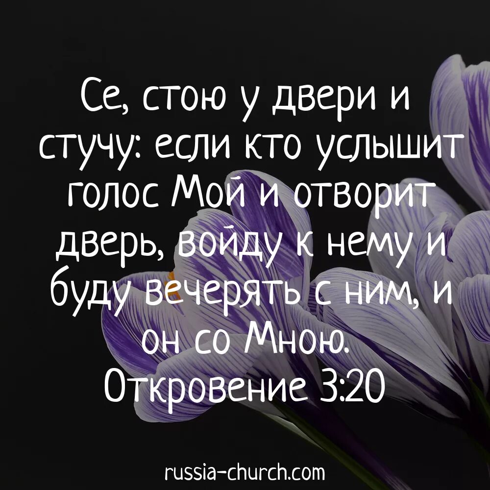 Голос мой услышь отзывы. Сие стою и стучу кто откроет буду вечерять с ним. Христианские картинки с надписями из Библии. Красивые картинки с местами из Библии. Се стою у двери и стучу если кто услышит голос мой и отворит дверь.