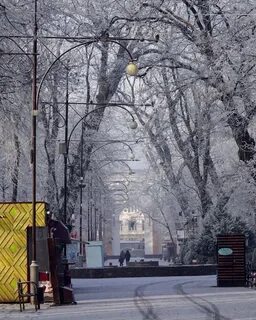 Зима в краснодаре 2023