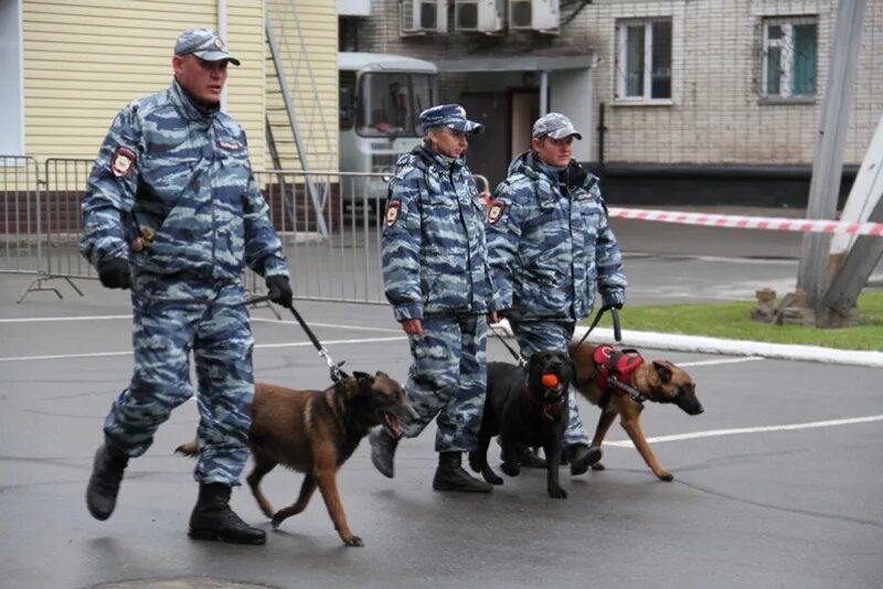 Кинолог центр. Кинология ЦКС Барнаул. ЦКС ГУ МВД России. ЦКС ГУ МВД Барнаул. Полиция РФ Кинологическая служба.