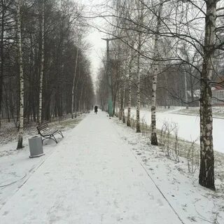 2 й лучевой просек