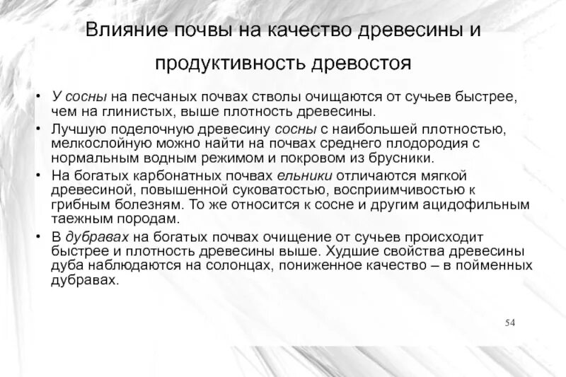 Почва елового леса. Влияние человекатна прирду. Широколиственные леса тип почвы. Влияние вырубки лесов. Влияние человека на фитоценоз.