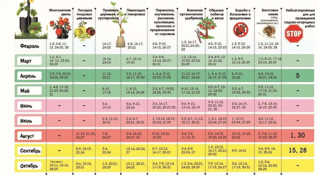 В какие дни в апреле можно. Календарь посадки растений. Календарь посадки овощей. Лунный календарь огородника. Посевной календарь таблица.
