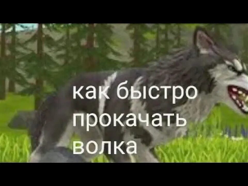 Прокачать волка. Фон вилл крафт. Прокачать волка. Прокачать волка. Прокачать волка.