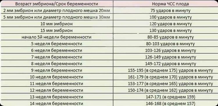 Как выглядит эмбрион в 1 неделю. Этапы развития ребенка по возрасту. Развитие плода по неделям в картинках. Норма частоты сердцебиения у плода по неделям. Период 6 9 месяцев.