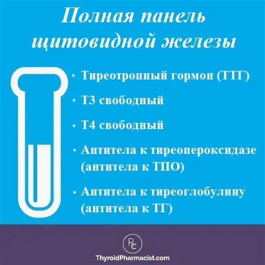 Перед сдачей железа можно есть. Подготовка к сдаче анализов на гормоны щитовидной. Сдать кровь на гормоны щитовидной железы подготовка. Подготовка пациента к исследованию гормонов щитовидной железы. Подготовка к сдаче крови на гормоны щитовидной железы.