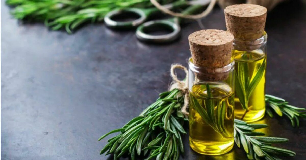 Natural essential oils. Эфирное масло розмарина. розмарин дотерра. розмарин лекарственный «волшебный эликсир». rosemary essential oil для волос.