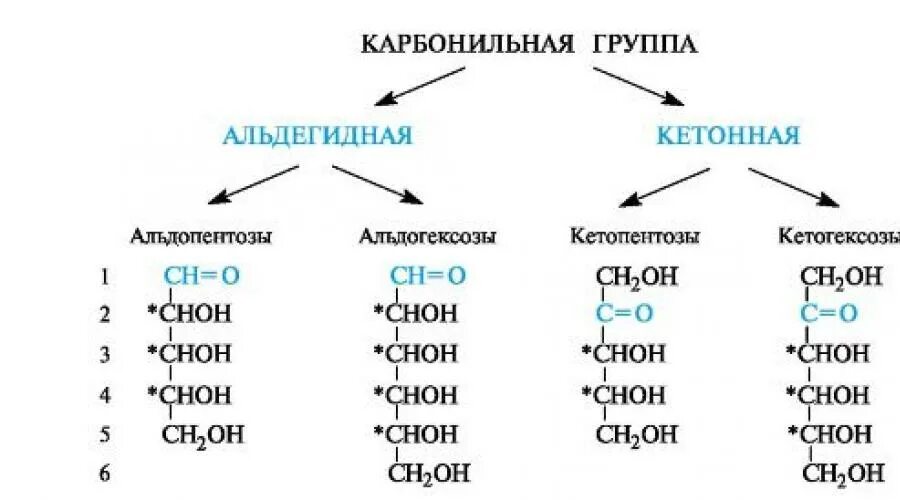 Моносахариды и полисахариды таблица. Альдопентозы моносахариды. Классификация моносахаридов. Моносахариды примеры углеводов. Углеводы к какой группе относится