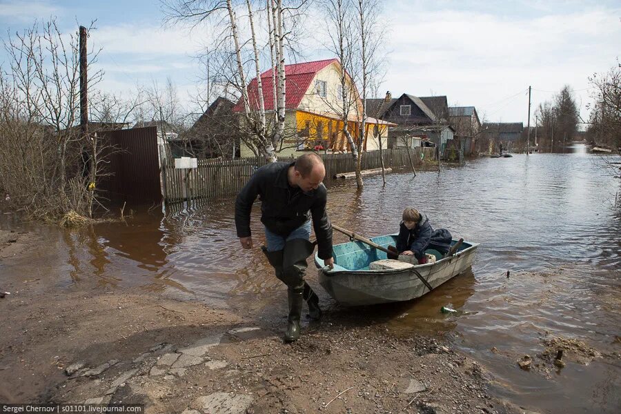 Погода в тосно ленинградской на неделю