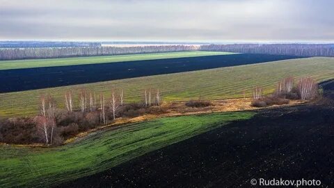 Черноземный городок