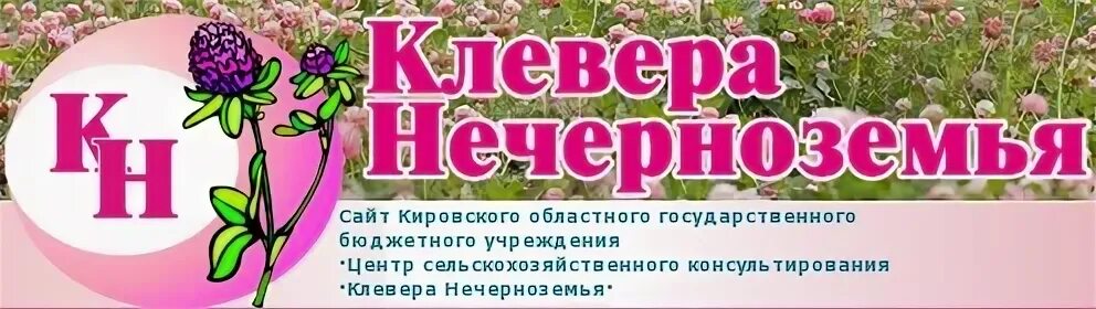 Клевер сайт ростов. Клевера Нечерноземья. Центр «клевера Нечерноземья». Центр «клевера Нечерноземья» работники. Клевера Нечерноземья Кировской области сайт.