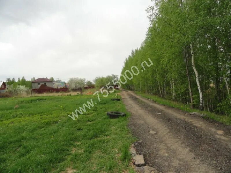 кп рябина верхнее дуброво. дуброво земельные участки. поселок растущий екатеринбург цены на участки. д дуброво наро-фоминский район. участок земли.