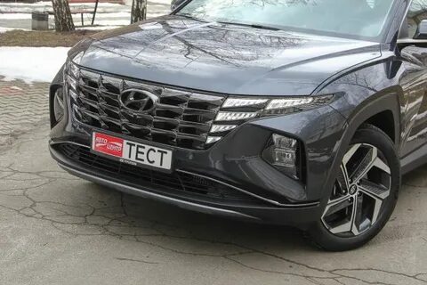 Амазон грей