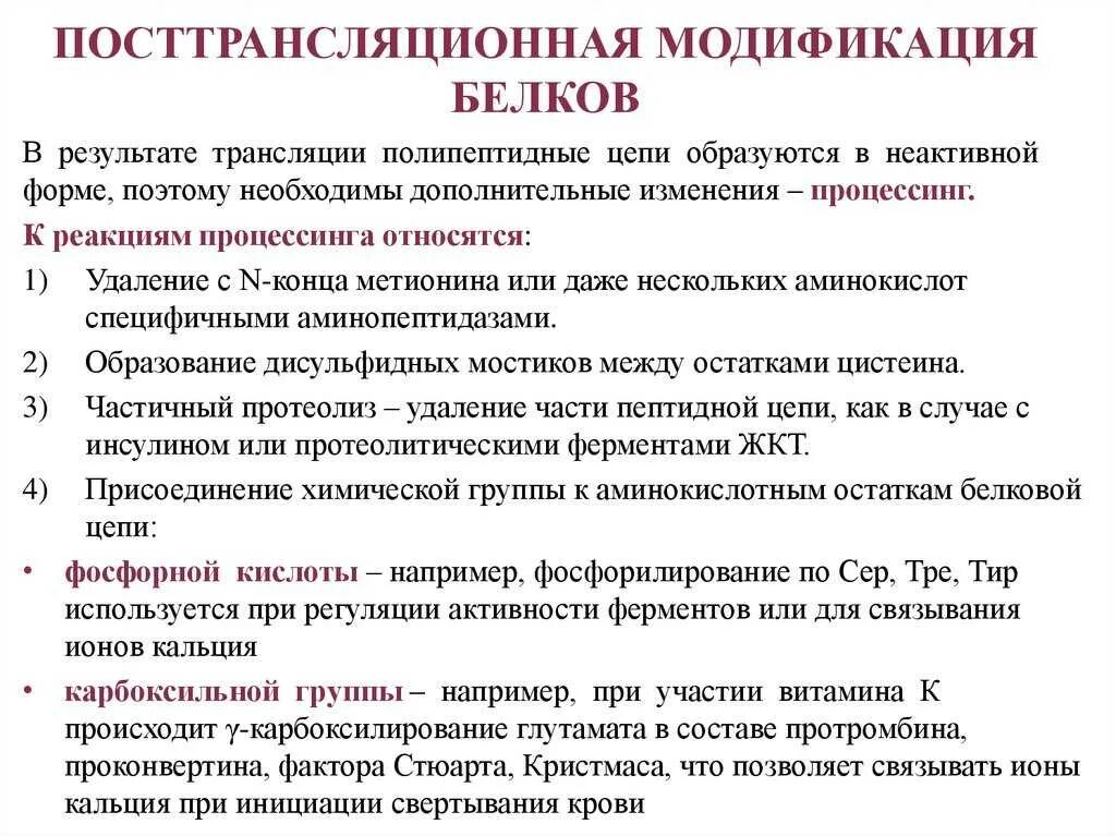 Характерные изменения белков. Посттрансляционная модификация белков схема. Посттрансляционные модификации белка. Посттрансляцинная модификация белк а. Посттрансоационная модицикафия Елков.