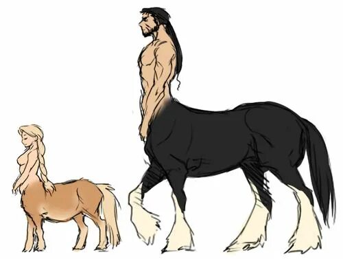 Девушки полу лошади