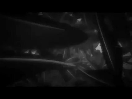 Донской 1 опенинг