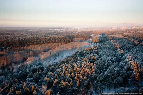 Заельцовский