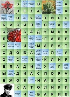 Растение тропиков сканворд