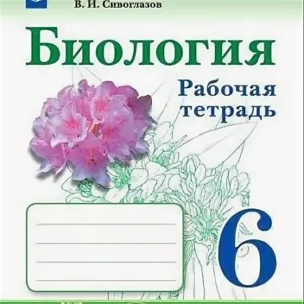 Биология 6 класс рабочая тетрадь Сивоглазов. Сивоглазов. Биология. Рабочая тетрадь 6 кл.. Биология 6 класс рабочая тетрадь Сивоглазова. Рабочая тетрадь Сивоглазов 6 класс.