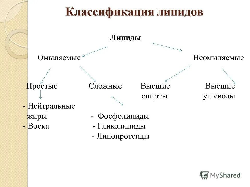 Неомыляемые липиды. Неомыляемые липиды