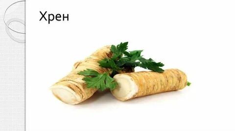 Сдам хрен