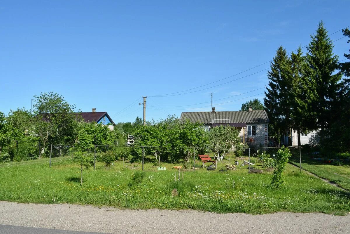 Вольная горка. Вольная горка. Батецкий новгородская область. , батецкий муниципальный округ, д. Вольная горка.