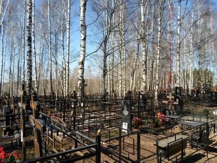 Кладбища подмосковья