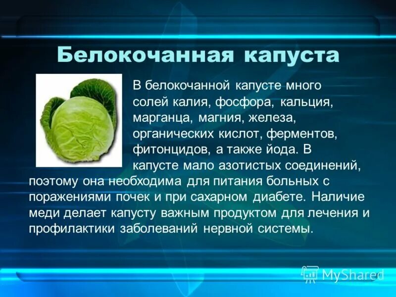 Калий в капусте белокочанной. Вещества содержащиеся в капусте. Содержание полезных веществ в капусте. Содержание железа в капусте белокочанной.