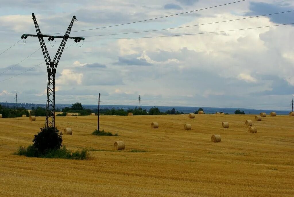 Сосновый лес. Использование лесов для линейных объектов. Линейные объекты на землях лесного фонда. Сосновый бор балаково. Просека лэп.