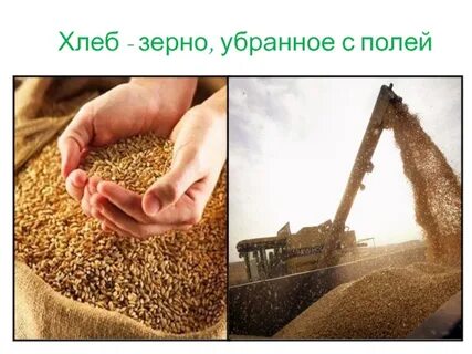 Хлеба убраны