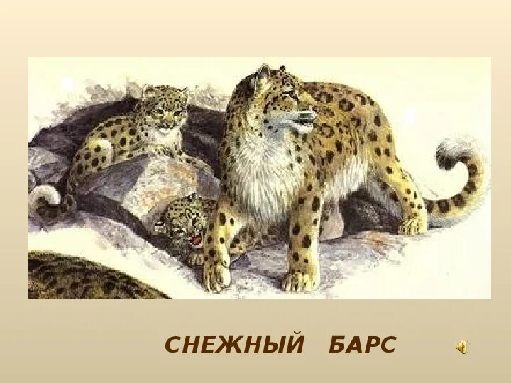 Красная книга красноярского края растения и животные. Какие животные красноярского края нуждаются в охране. Красная книга красноярского края растения и животные. Животные красной книги красноясрк. Животное красной книги красноярского края.