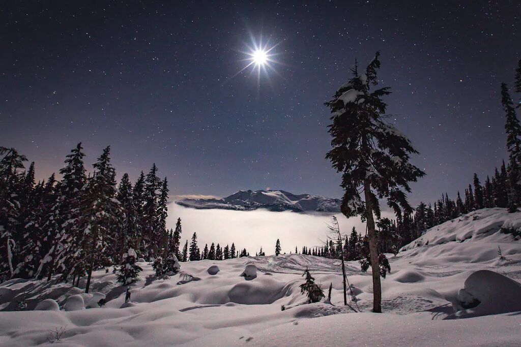 Ночь луна снег. Зимний ночной пейзаж. Луна снег текст. Стихи про зимнюю ночь красивые. Луна снег текст.