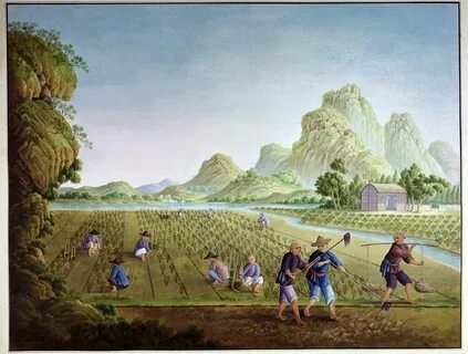Agricultural society