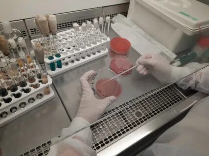 Экспертиза лабораторных исследований