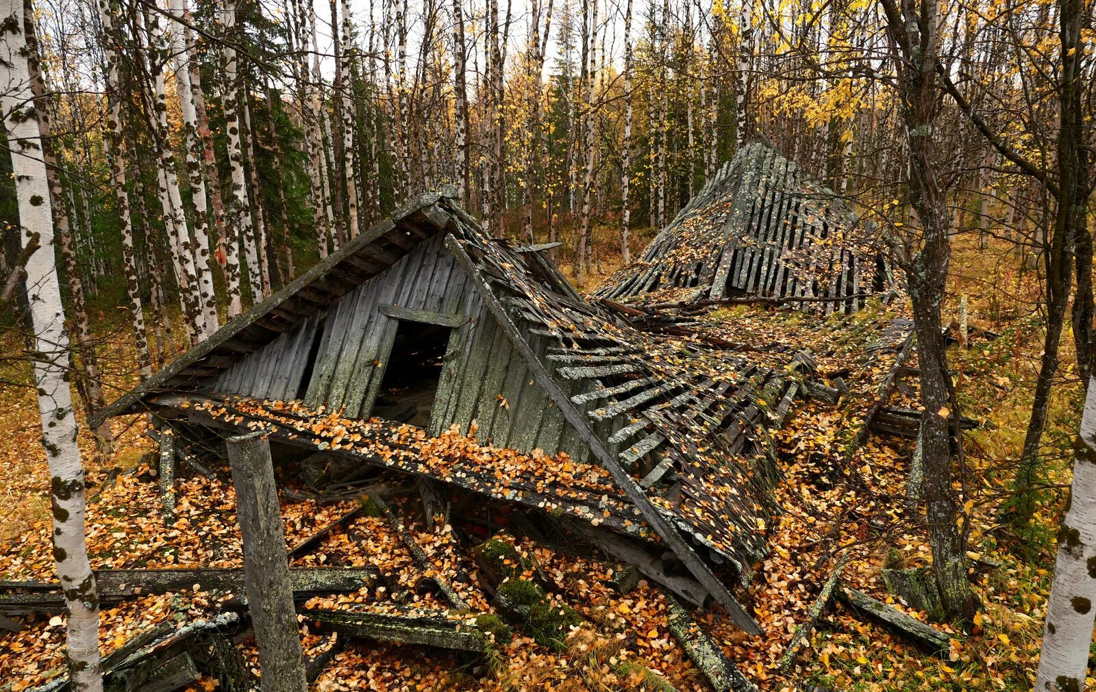 Дорога гулага. Трансполярная магистраль. трансполярная железная дорога. трансполярная магистраль сталина. салехард-игарка железная дорога лагеря.