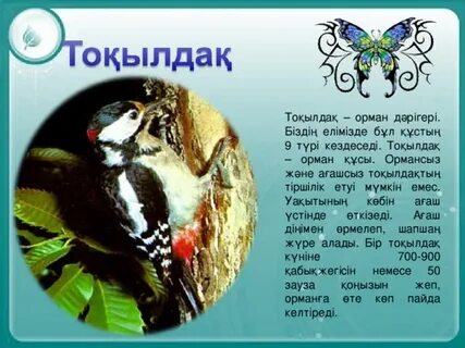 Таразы Таурус жыныстық үйлесімділігі