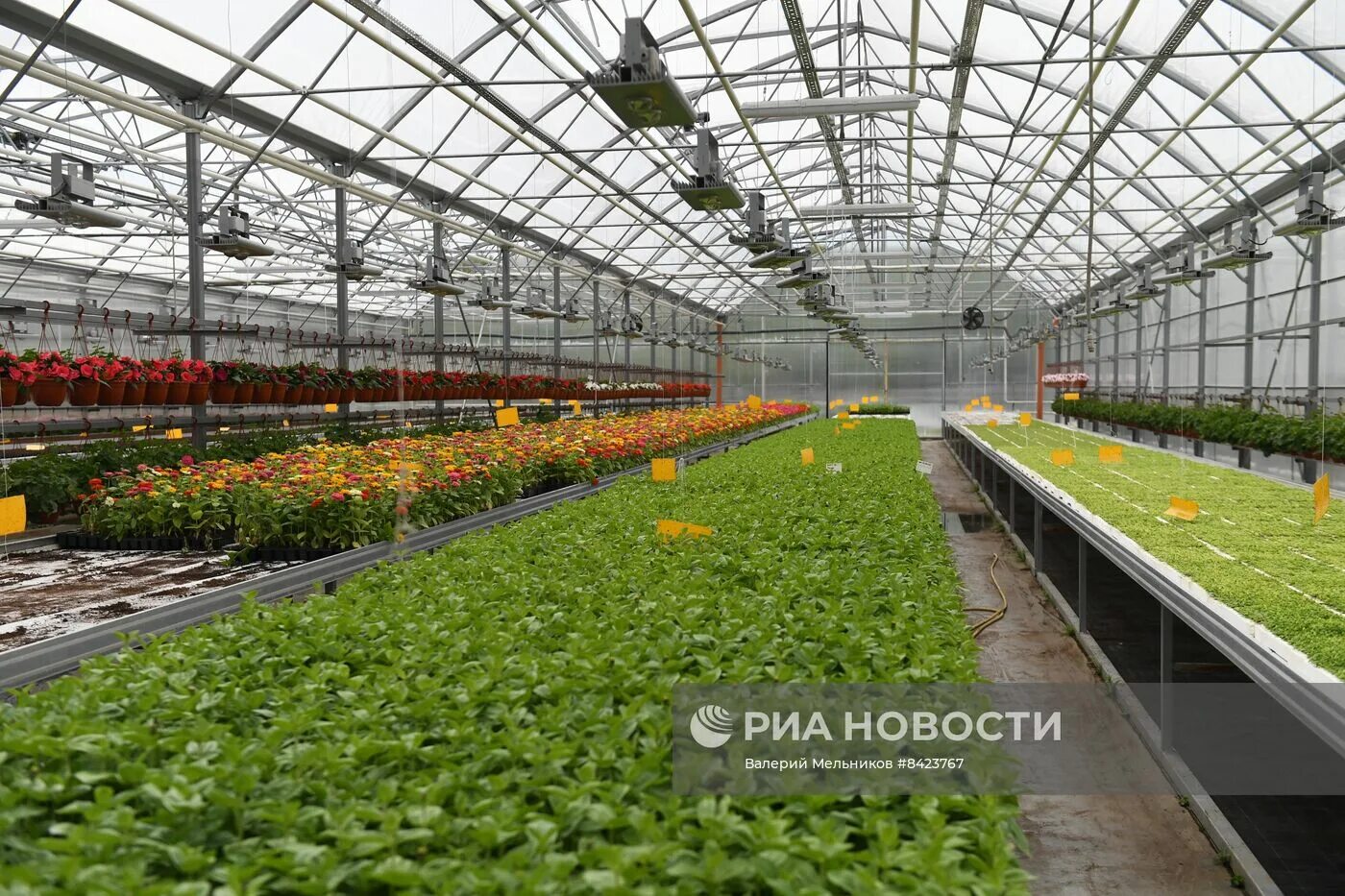 Строительство тепличного комплекса в городском округе Серпухов проверит Главгосс