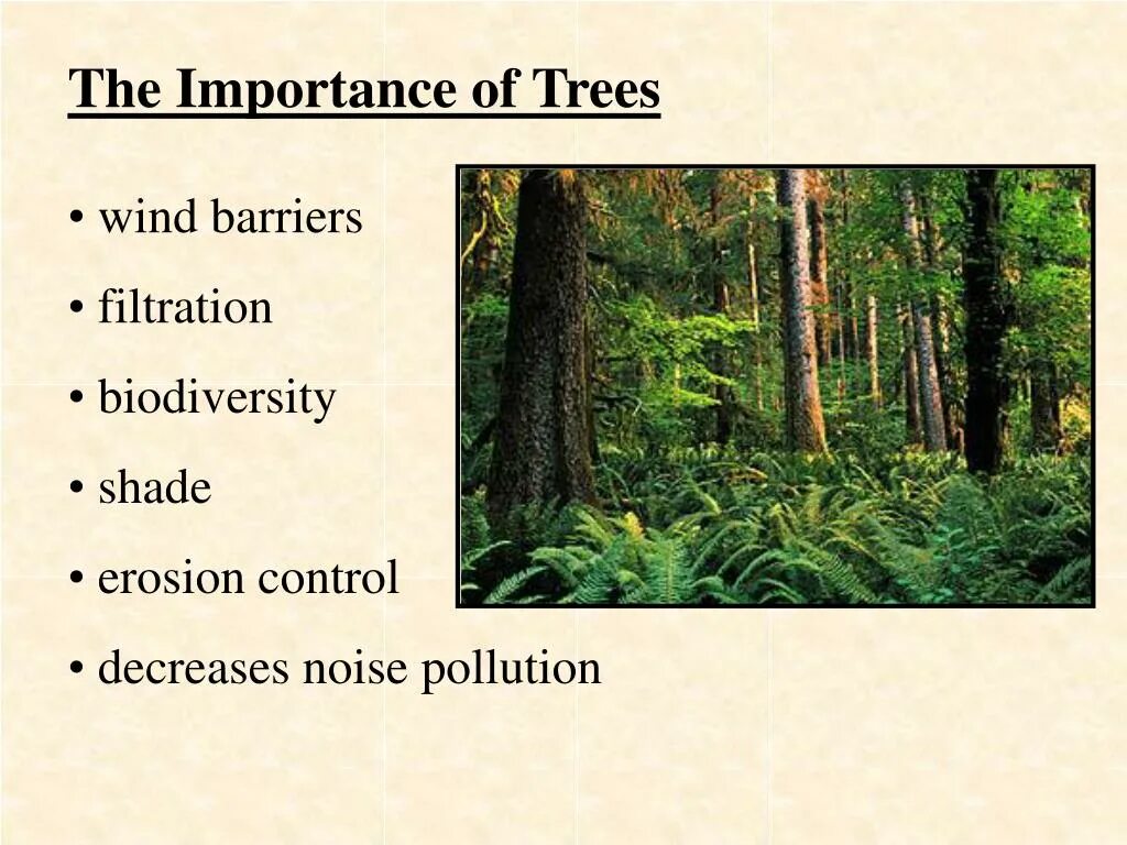 Where are the trees. Importance of trees. why are trees important. importance of trees ppt. importance of training young trees.