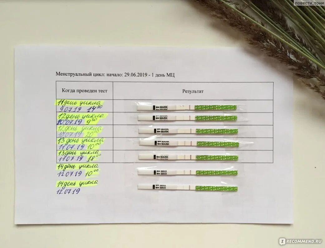 12 День цикла тест на беременность. Результаты тестов на беременность по дням цикла. 31 День цикла тест на беременность. Тест 2 полоски по дням цикла. Тест на овуляцию 2 дня