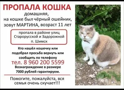 Как правильно писать кошку