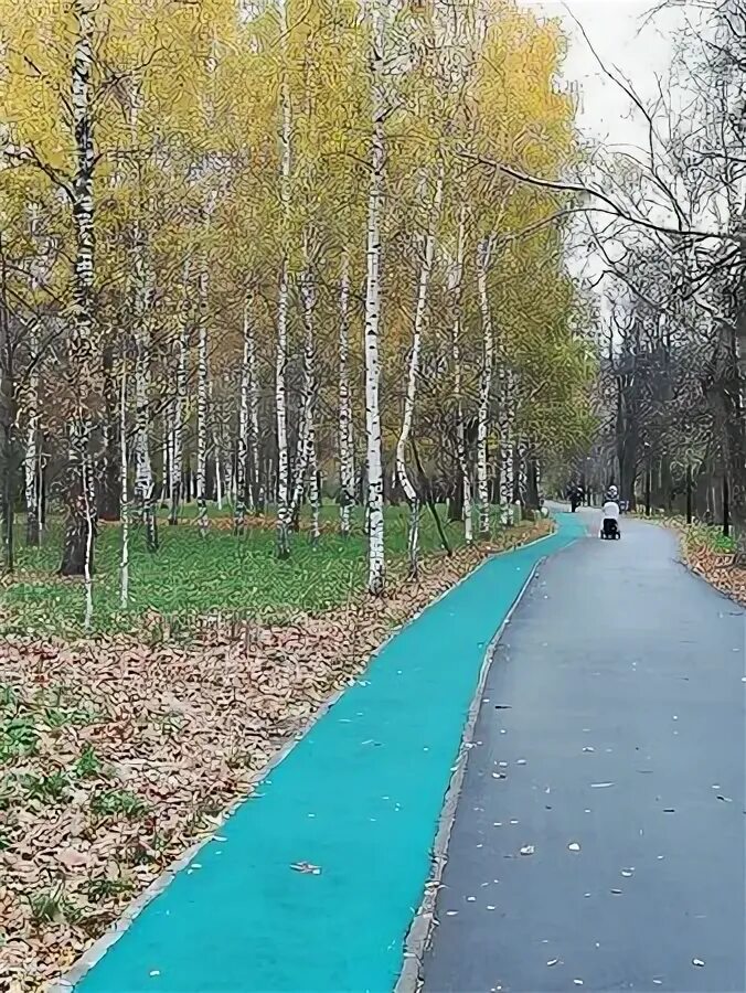 Ул куусинена березовая роща