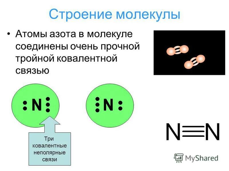 Изобразите схему атома и азота