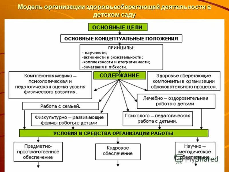 Принципы формирования здоровьесберегающего поведения