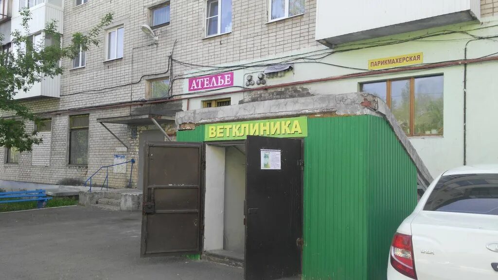 ветеринарная клиника тольятти центральный район. ветеринарная клиника на льва толстого. айболит ветеринарная клиника нижний тагил. ветеринарка тольятти. автостроителей 11а тольятти.